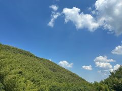 -南山竹海·珍味堂