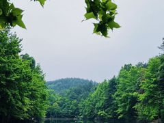 -青龙山国家森林公园