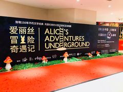 -爱丽丝冒险奇遇记
