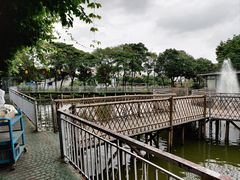 -陶缘一号·四季缘·老字号顺德菜·户外婚礼家宴(西滘店)