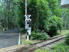 -合肥滨湖国家森林公园