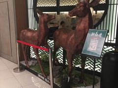 -新白鹿餐厅(虹桥南丰城店)