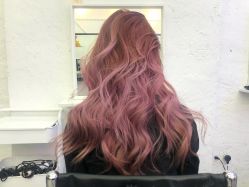 点击看大图 -SALON V