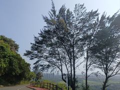 -海南铜鼓岭景区