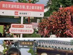 -芜湖新华联大白鲸海洋公园