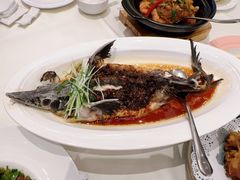 豆豉蒸鲟龙鱼-万龙洲海鲜(大兴绿地缤纷城店)