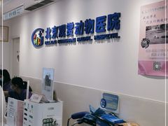 -北京观赏动物医院·24小时大型综合·猫专科·异宠专科