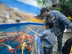 -芜湖新华联大白鲸海洋公园