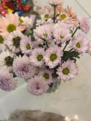 -菩羽·专业美胸·连锁养护中心