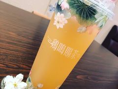 -鸡鸣赐茶(鸡鸣寺路店)