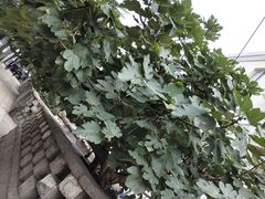 -青岛市江苏路基督教堂
