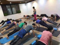 -兴亚瑜伽20年老馆