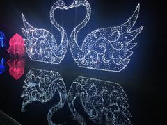 -杭州湾海上花田景区