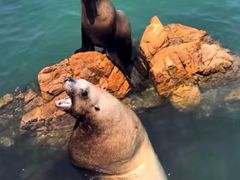 -西霞口神雕山野生动物世界