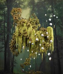 -锦江饭店·锦江小礼堂·宴会厅