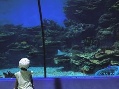 -福州罗源湾海洋世界旅游区