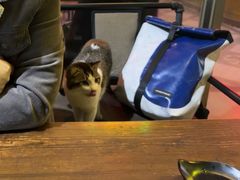 -黄师傅湿辣牛肉(胡桃里店)