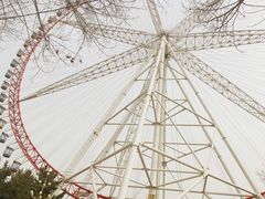 -哈尔滨文化公园