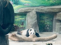 -灵玲国际马戏城
