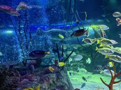 -沈阳海洋探索中心