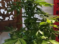 -顺兴老茶馆·精品川菜(世纪城店)