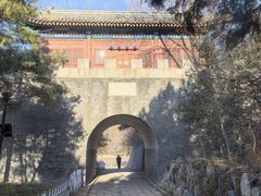 -云岗森林公园
