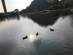 -星湖旅游景区七星岩