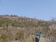 -白水寺森林公园