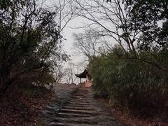 -宝石山