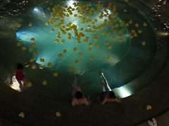 -苏州湾王焰温泉度假酒店