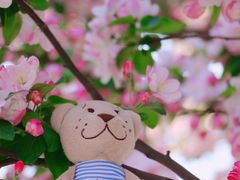 -海棠花溪(元大都城垣遗址公园)