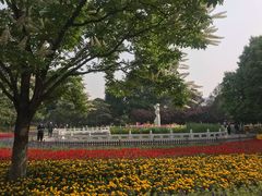 -丰台花园