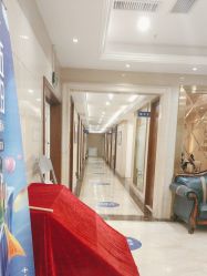 -碧莲盛·不剃发植发