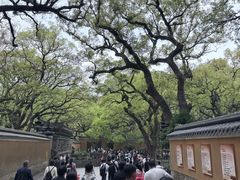 -普陀山风景名胜区-法雨禅寺
