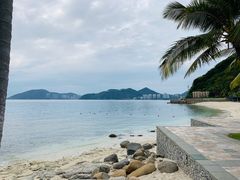 -日落吧·海景咖啡厅·餐酒吧·鸡尾酒·下午茶·乐队表演·浪漫夕阳·三亚文华东方酒店