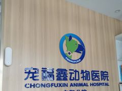 -宠福鑫康馨动物医院·骨科·眼科
