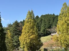 -神户市立六甲山牧场