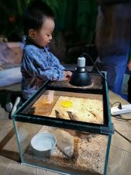 点击看大图 -酷嗒动物文化乐园(cutezoo西溪乐天城店)