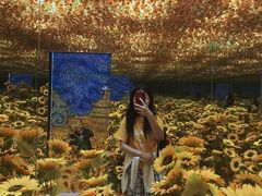 -郑州梵高星空错觉艺术馆(大上海城旗舰店)
