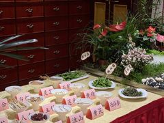 -钦善斋(武侯祠店)