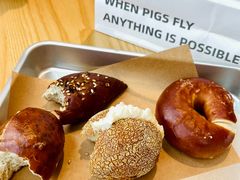 -WHEN PIGS FLY当猪飞