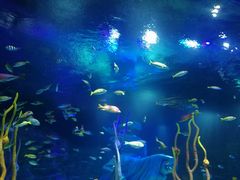 -沈阳海洋探索中心