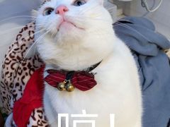 -宝珠奶酪(长宁金虹桥店)