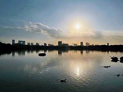 -海珠湖公园