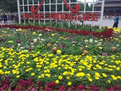 iphone_upload_pic-迎泽公园