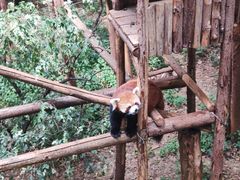 -昆明动物园
