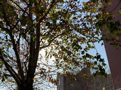 -深蓝盲人推拿·颈肩腰腿疼痛·艾灸调理(清河店)