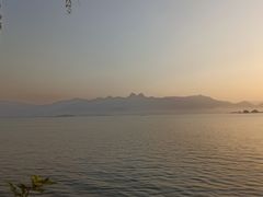-石家庄市植物园
