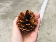 -石岛赤山风景区