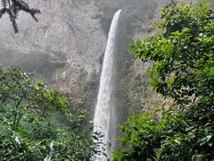 -云南屏边大围山国家公园